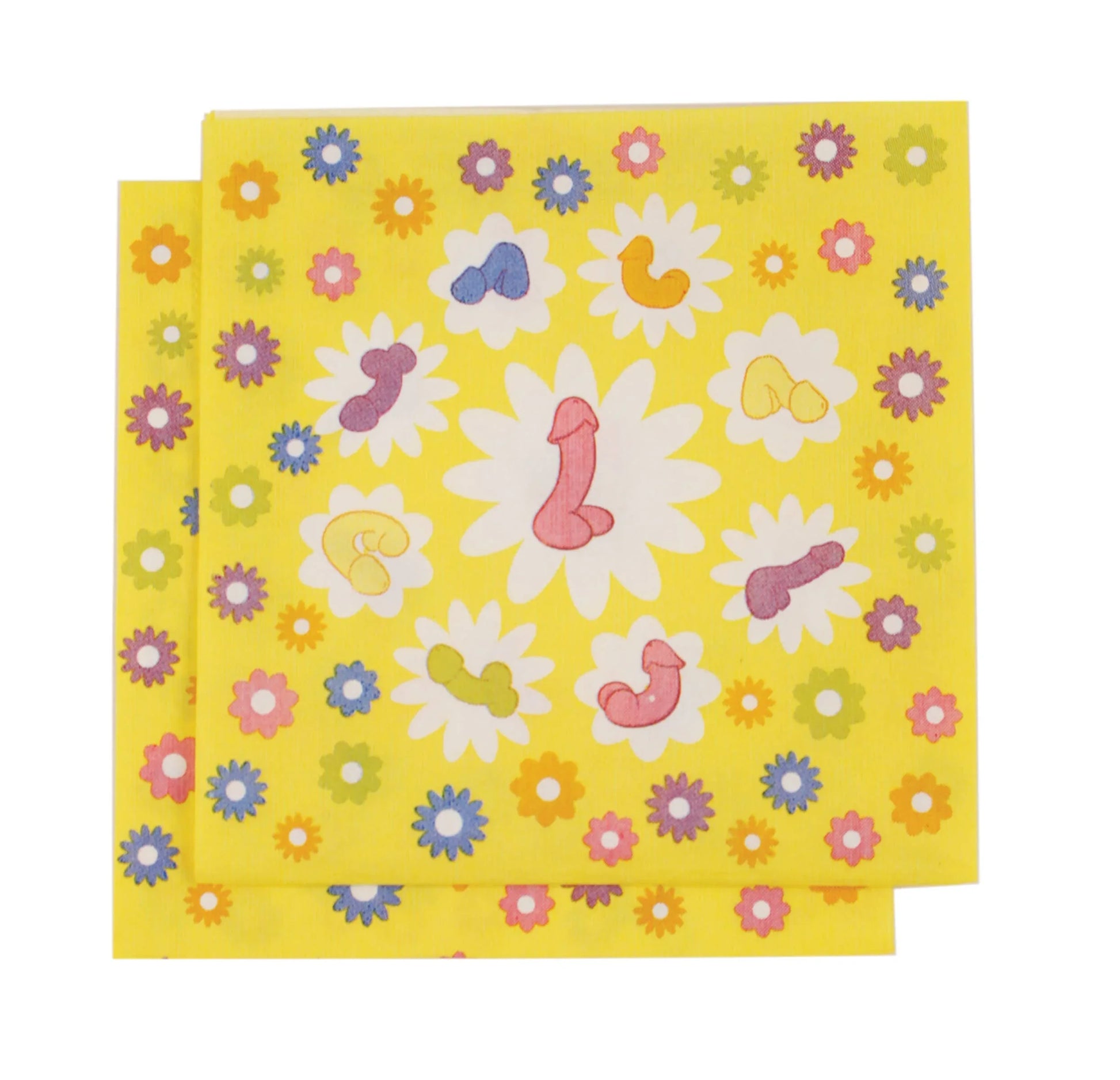 Super Fun P**** Napkin - McCabe's Costumes